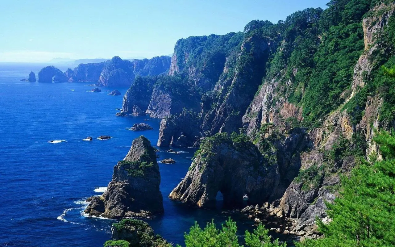 高端创新
